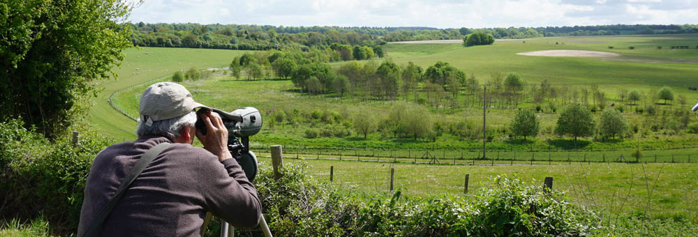 Newton Toney Wiltshire village image